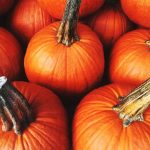 Is pumpkin toxic to dogs?