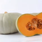 green Pumpkin